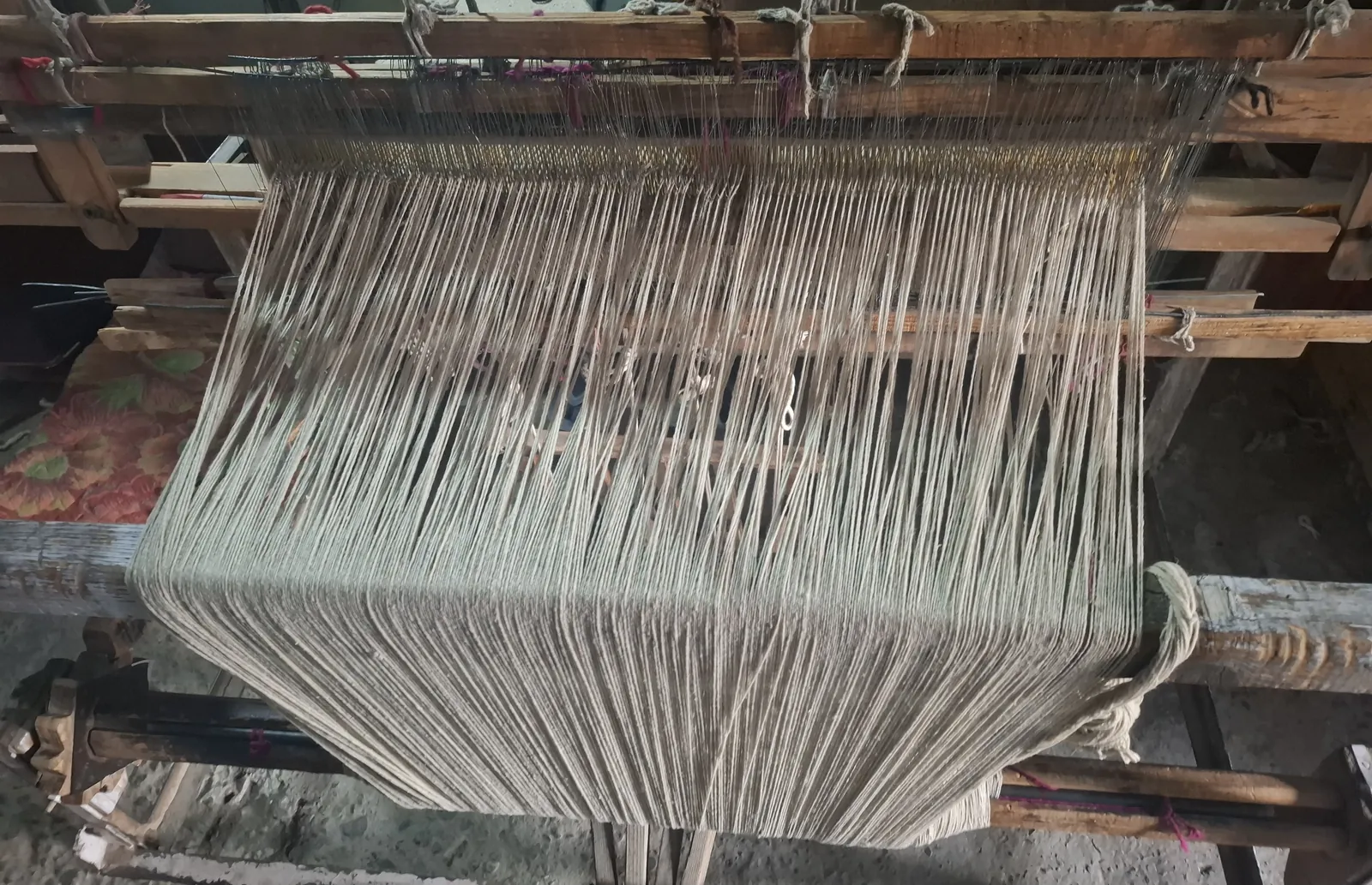 Close view of a wooden handloom in Kinnaur, Himachal Pradesh, with long cream woollen warp threads stretched across the frame