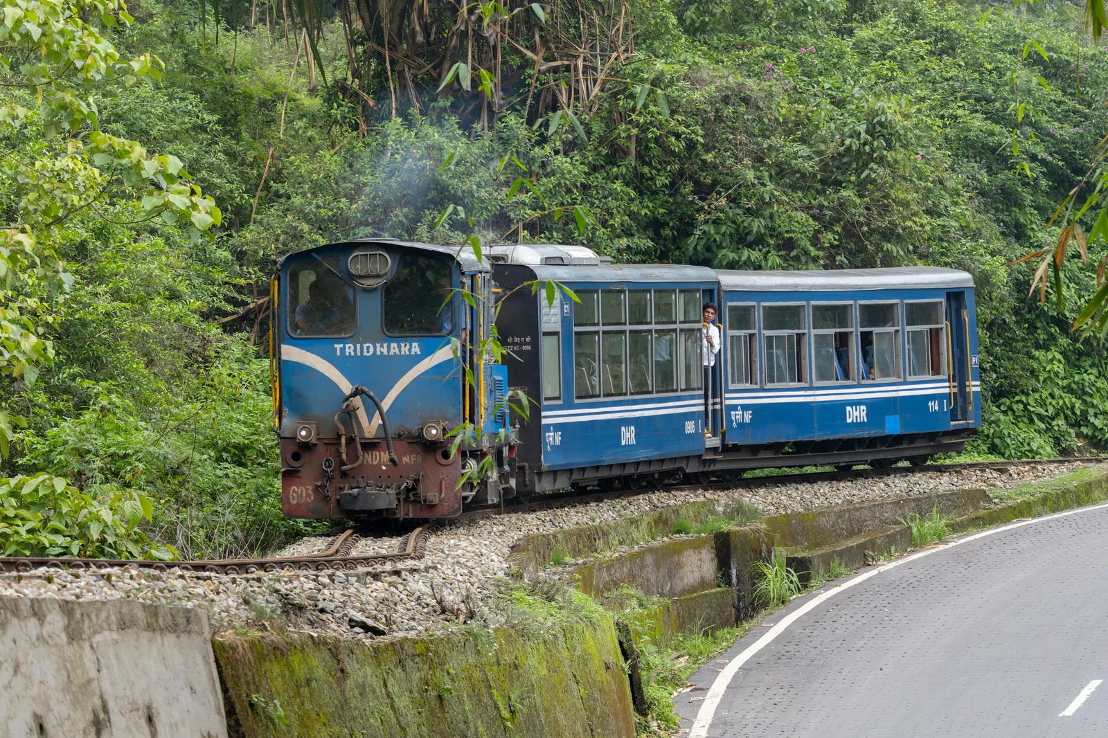 A blue Darjeeling Himalayan Railway steam locomotive pulling red and cream coaches through green hills, with passengers watching from open windows