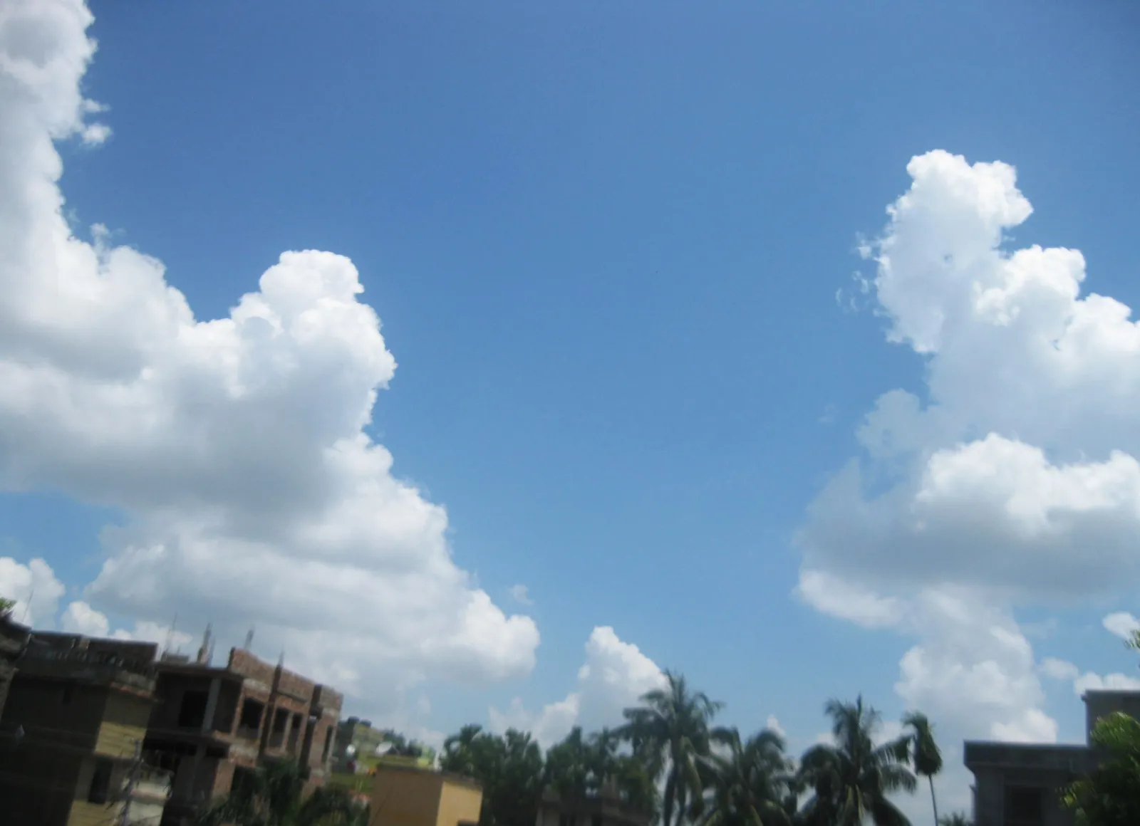 A deep blue sky with towering white cumulus clouds above rooftops and palm trees in Kolkata
