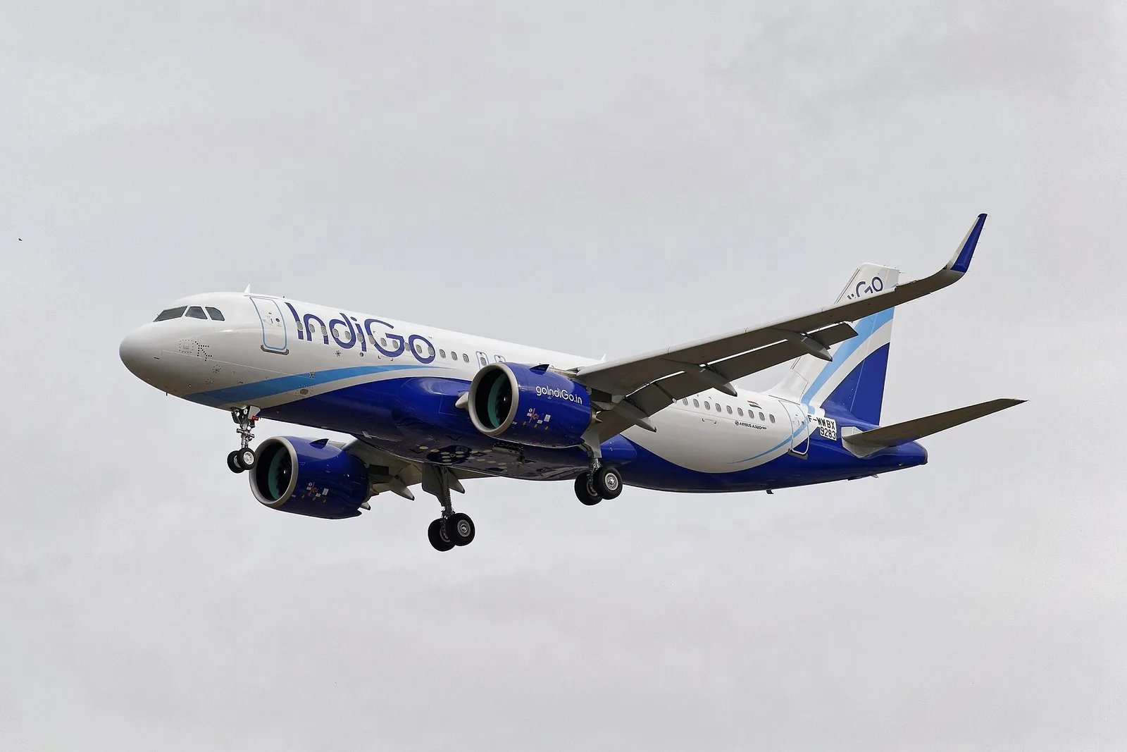 A white IndiGo Airbus A320 with a dark blue belly and tail flying against a grey overcast sky, landing gear extended